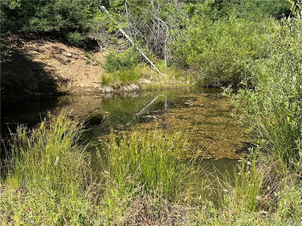 27257 19N16 ROAD Upper Lake, CA 95485