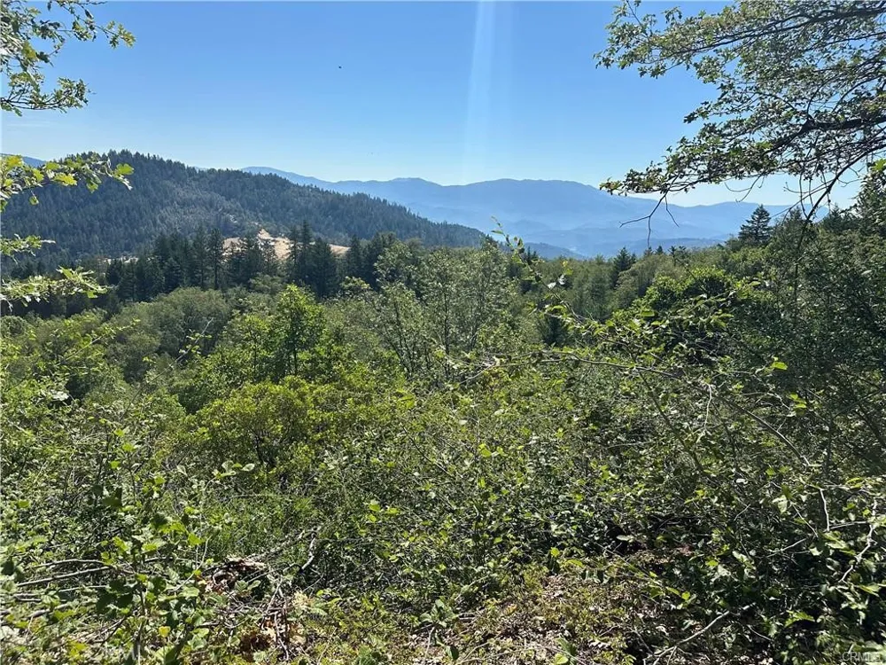 27257 19N16 ROAD Upper Lake, CA 95485