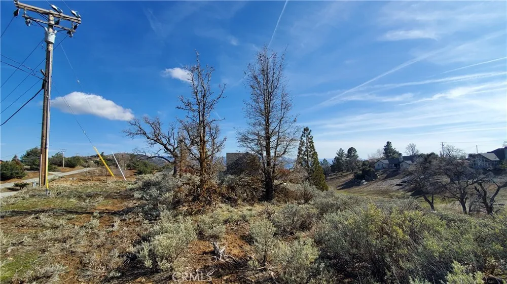25041 Jacaranda Drive Tehachapi, CA 93561