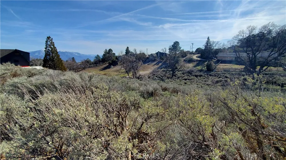 25041 Jacaranda Drive Tehachapi, CA 93561