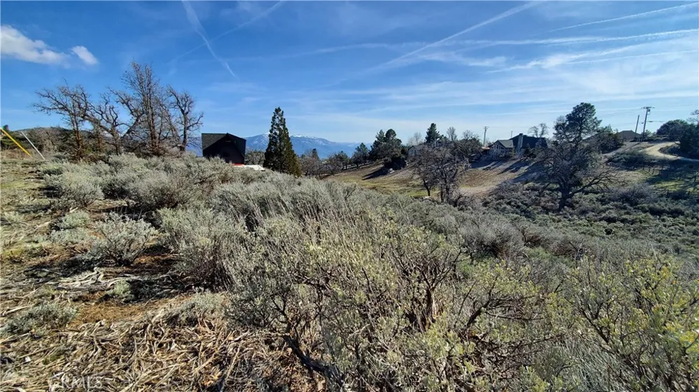 25041 Jacaranda Drive Tehachapi, CA 93561