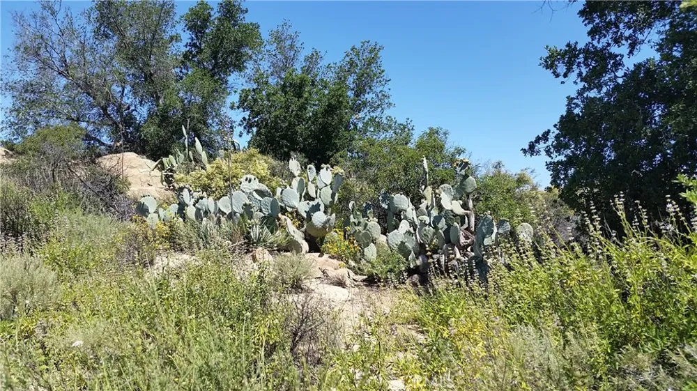2821-026-003 ROAD Chatsworth, CA 91311