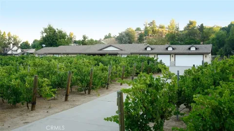 41740 Camino Del Vino