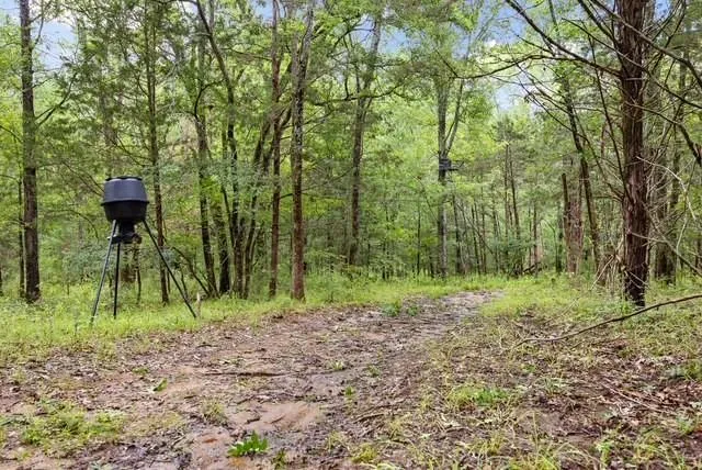 16650 NE Cr 3010 Road NE Kerens, TX 75144