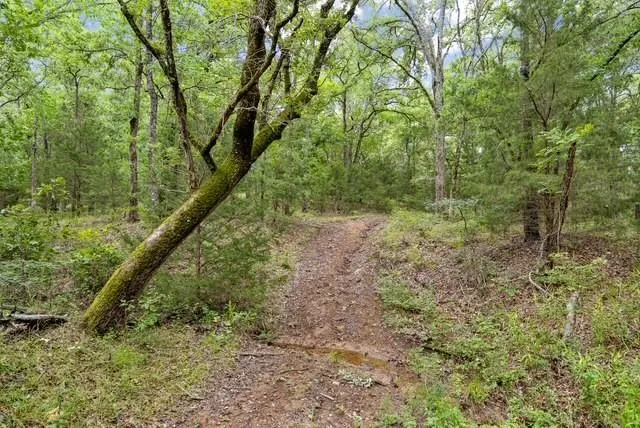 16650 NE Cr 3010 Road NE Kerens, TX 75144