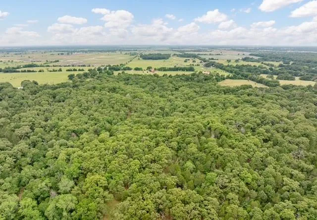 16650 NE Cr 3010 Road NE Kerens, TX 75144