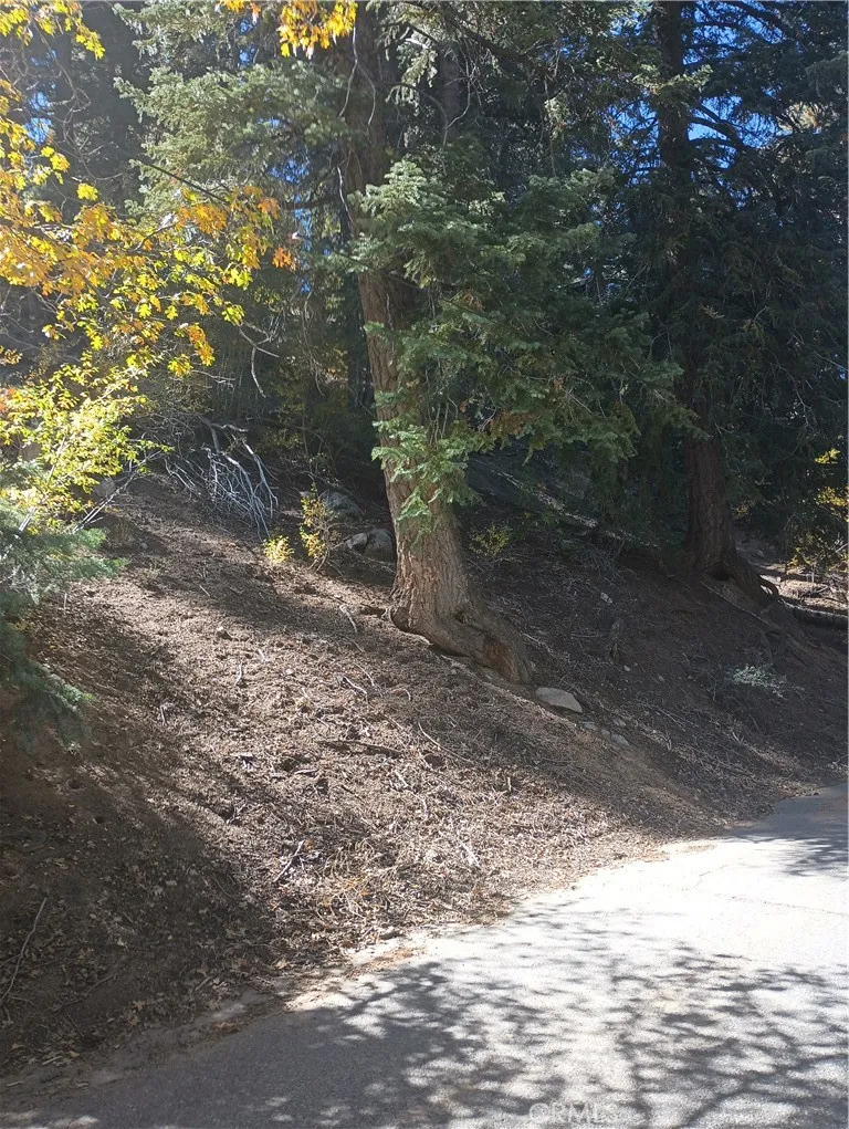 Cherry Big Bear Lake, CA 92315