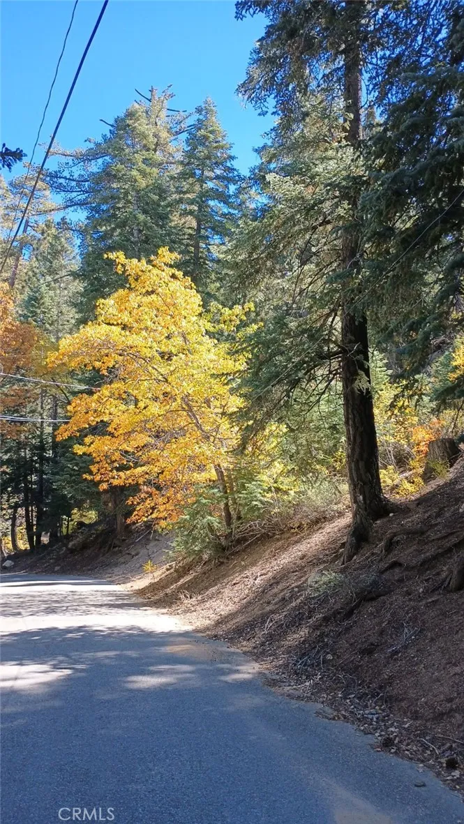 Cherry Big Bear Lake, CA 92315