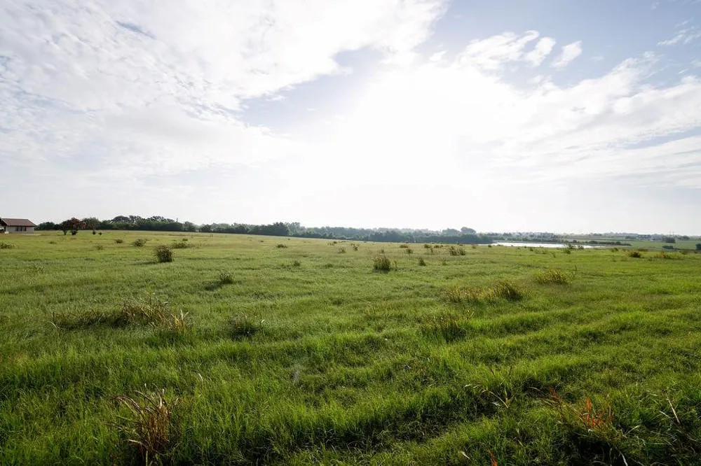 334 Vineyard View Trail Carmine, TX 78932