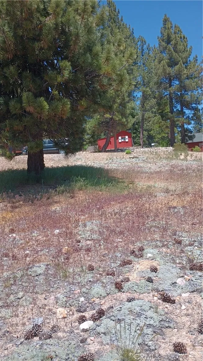 39237 Crest Lane Big Bear Lake, CA 92315