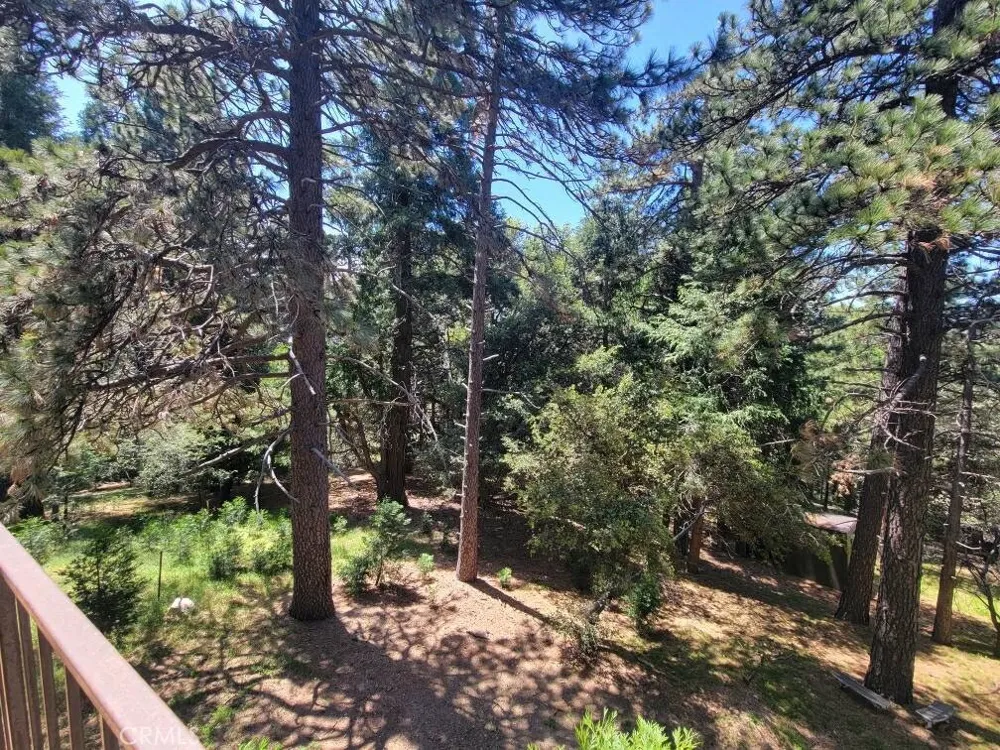 550 Coyote Trail Cedarpines Park, CA 92325