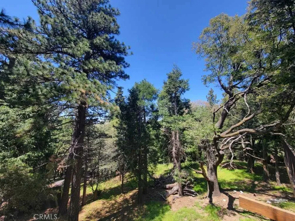 550 Coyote Trail Cedarpines Park, CA 92325