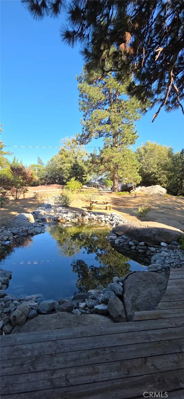 550 Coyote Trail Cedarpines Park, CA 92325