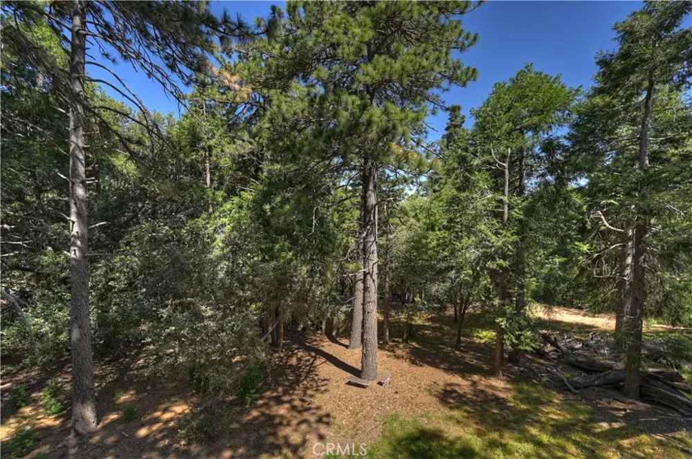 550 Coyote Trail Cedarpines Park, CA 92325