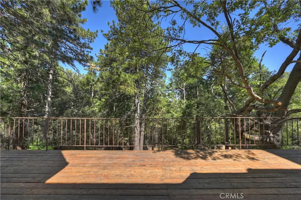 550 Coyote Trail Cedarpines Park, CA 92325