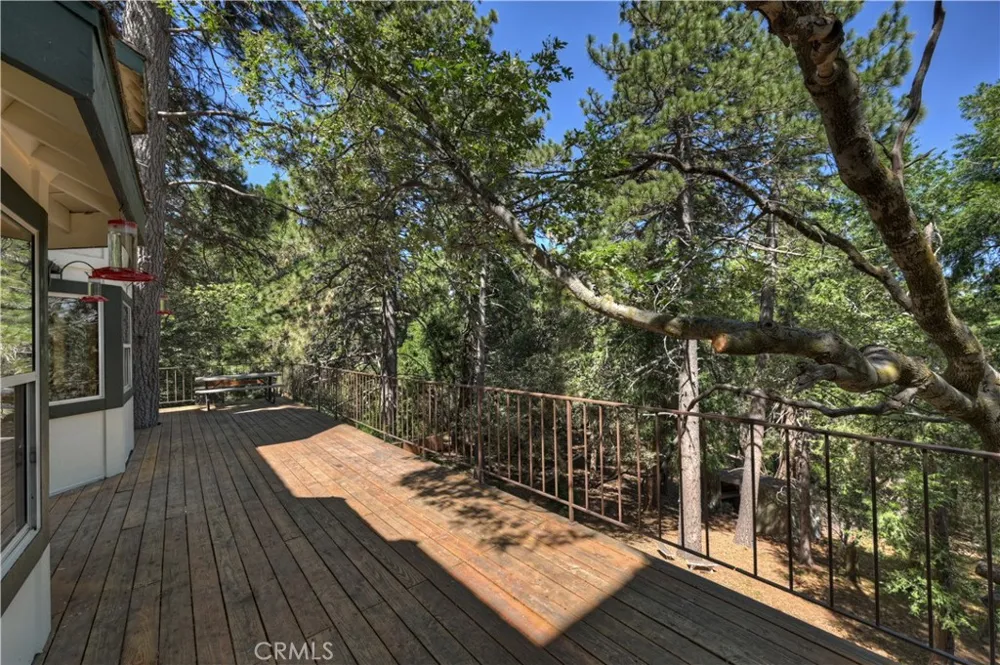550 Coyote Trail Cedarpines Park, CA 92325