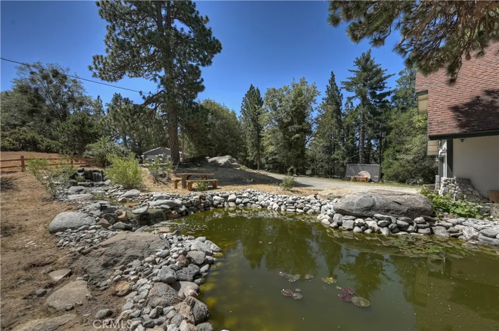 550 Coyote Trail Cedarpines Park, CA 92325