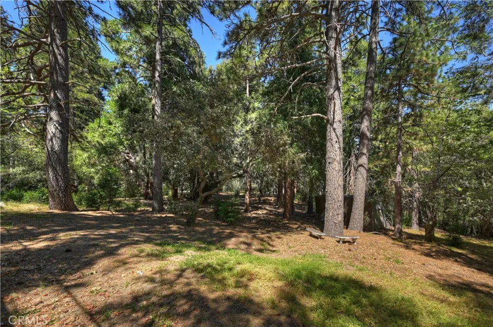 550 Coyote Trail Cedarpines Park, CA 92325
