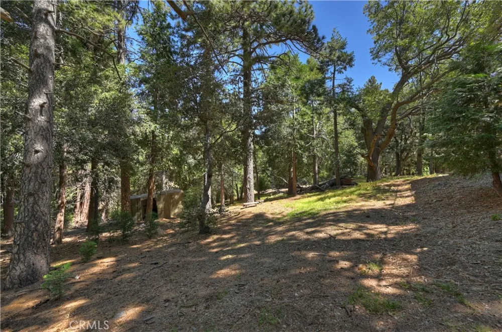 550 Coyote Trail Cedarpines Park, CA 92325