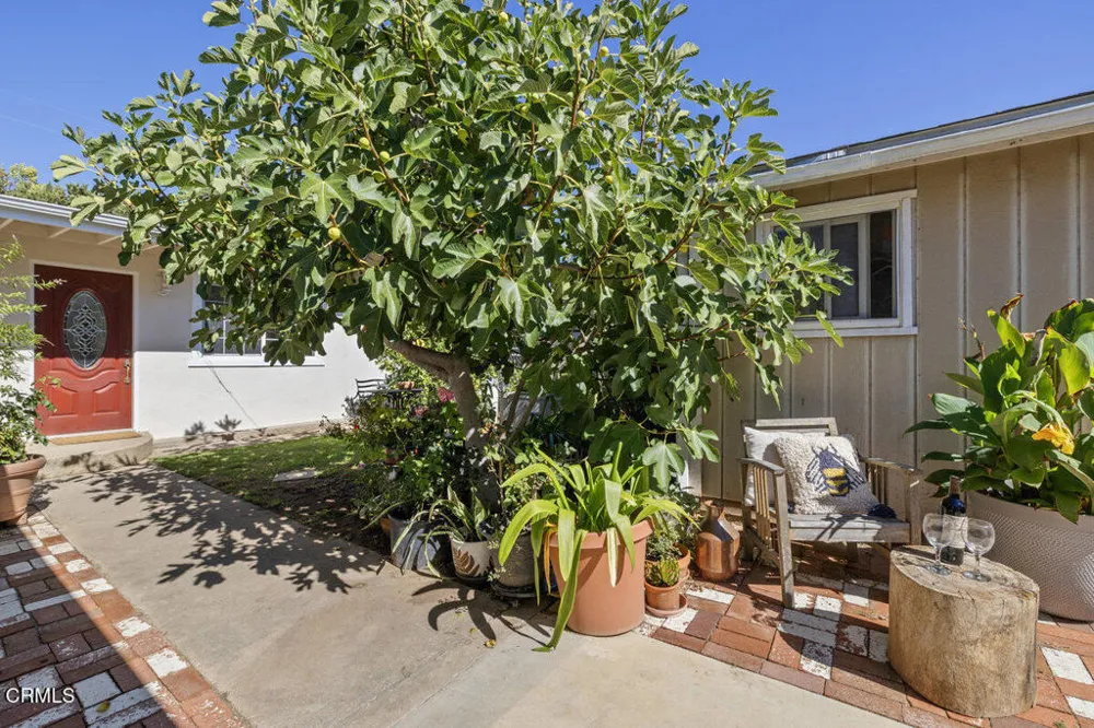 386 Larmier Avenue Oak View, CA 93022