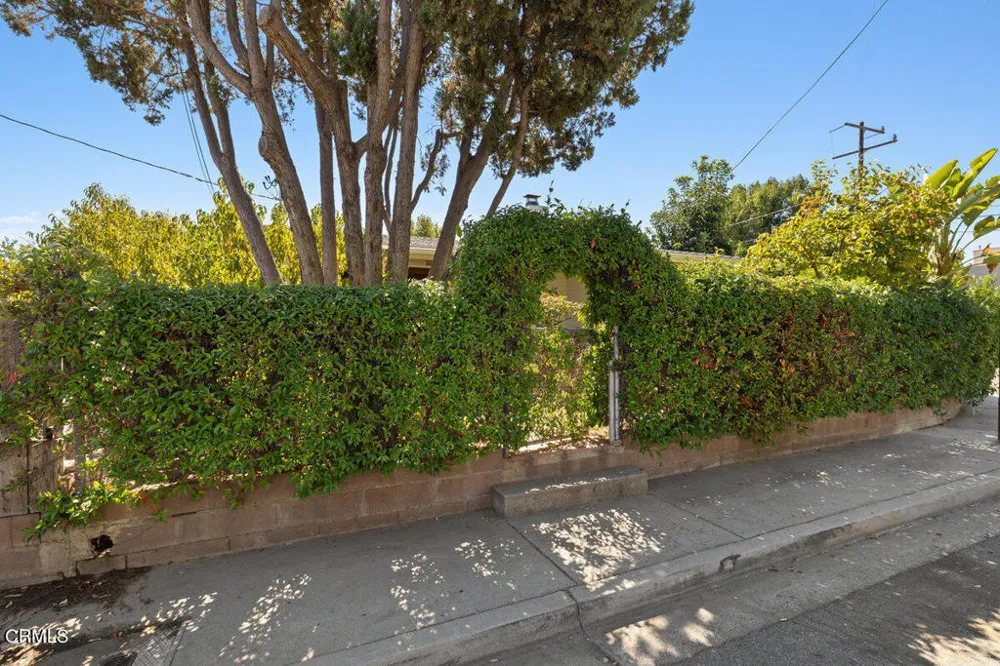 386 Larmier Avenue Oak View, CA 93022
