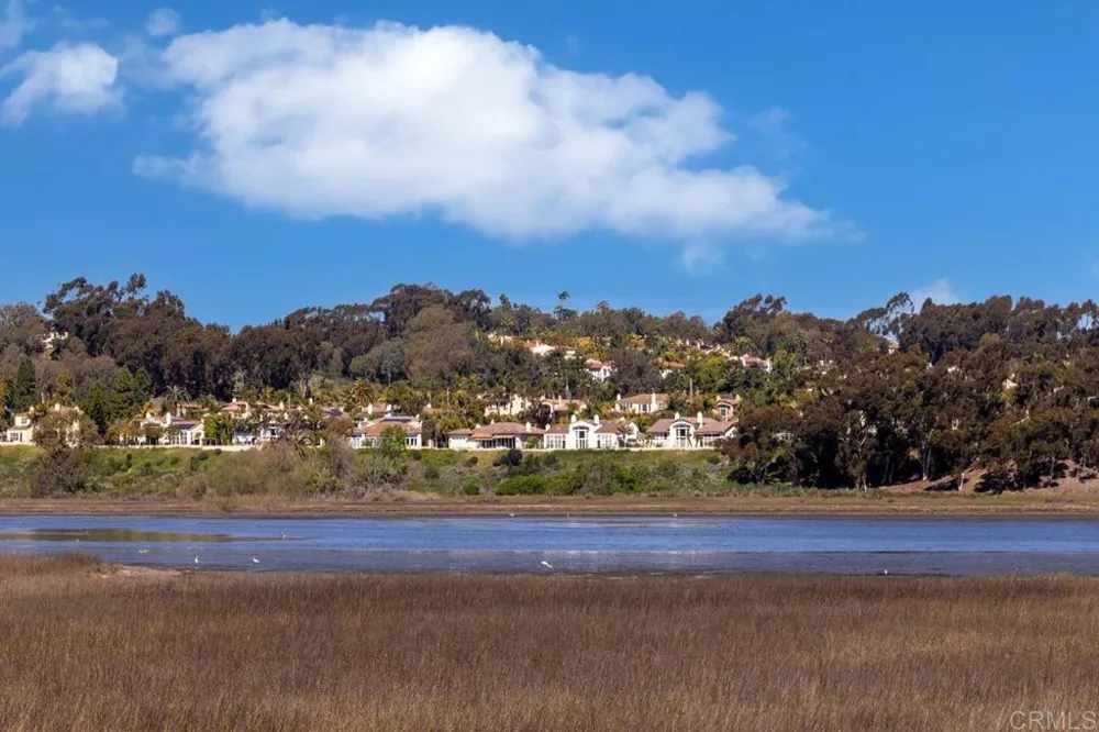 2652 Allium Way Carlsbad, CA 92008