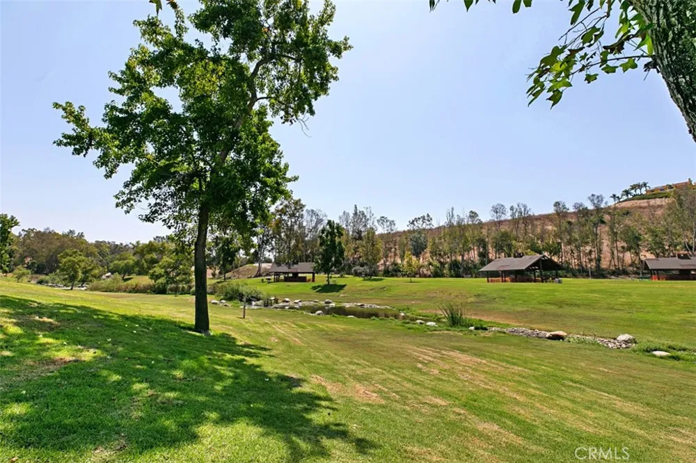 31508 W Nine Laguna Niguel, CA 92677