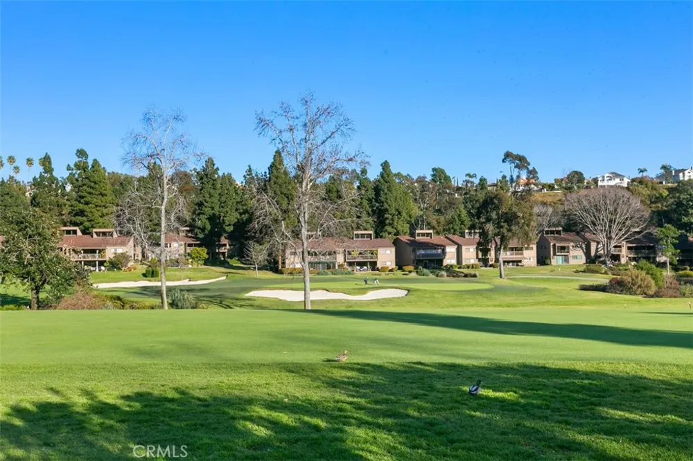 31508 W Nine Laguna Niguel, CA 92677