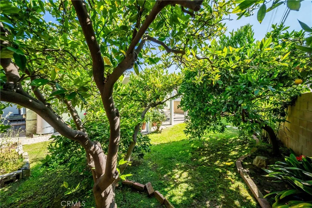 12047 Hammack Culver City, CA 90230