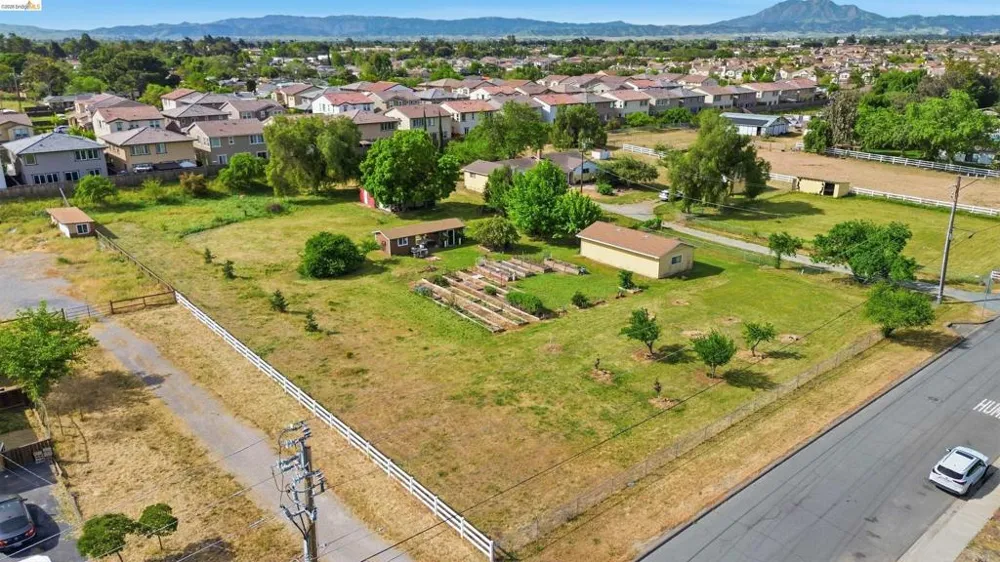 209 Honey Ln Oakley, CA 94561