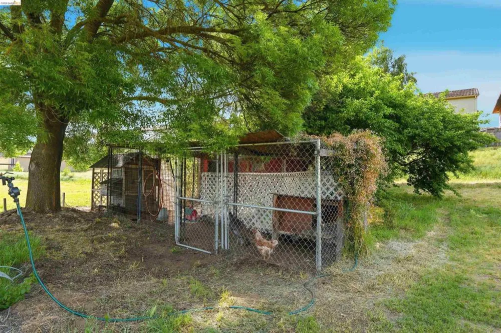 209 Honey Ln Oakley, CA 94561