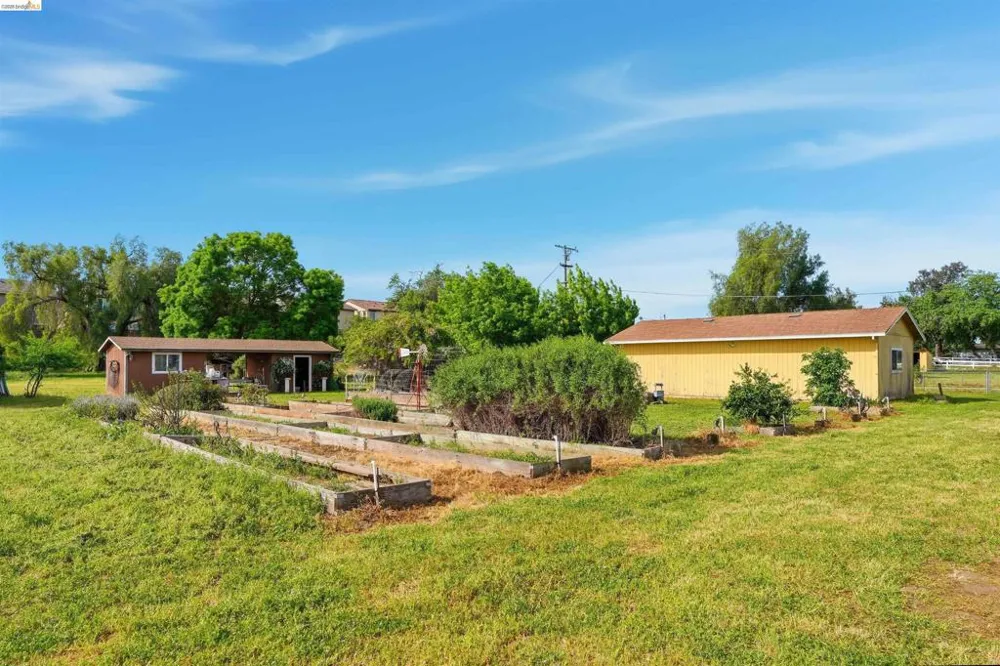 209 Honey Ln Oakley, CA 94561