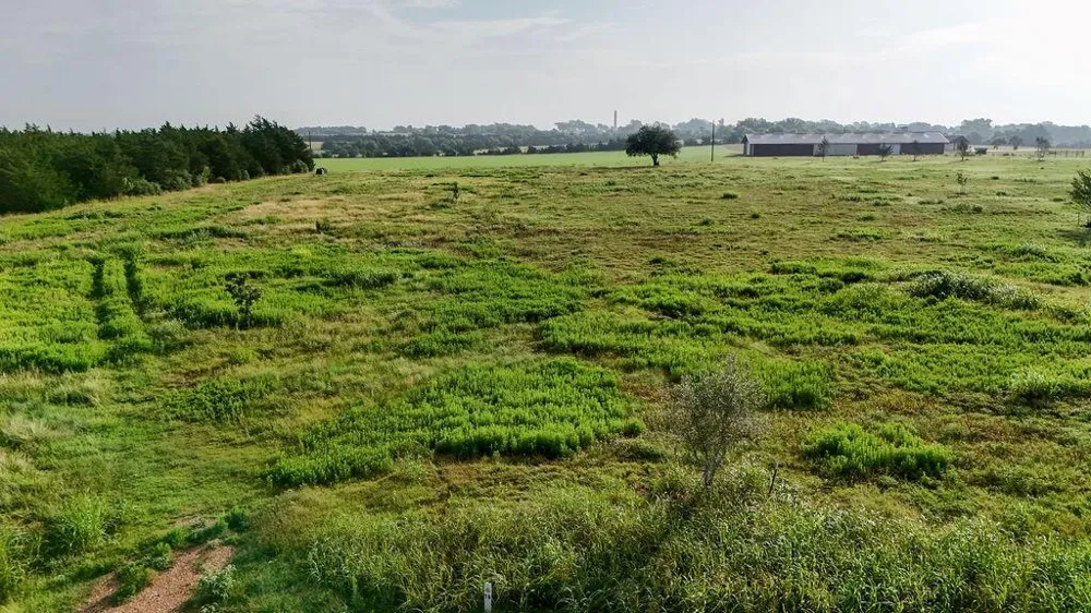 400 Vineyard View Trail Carmine, TX 78932