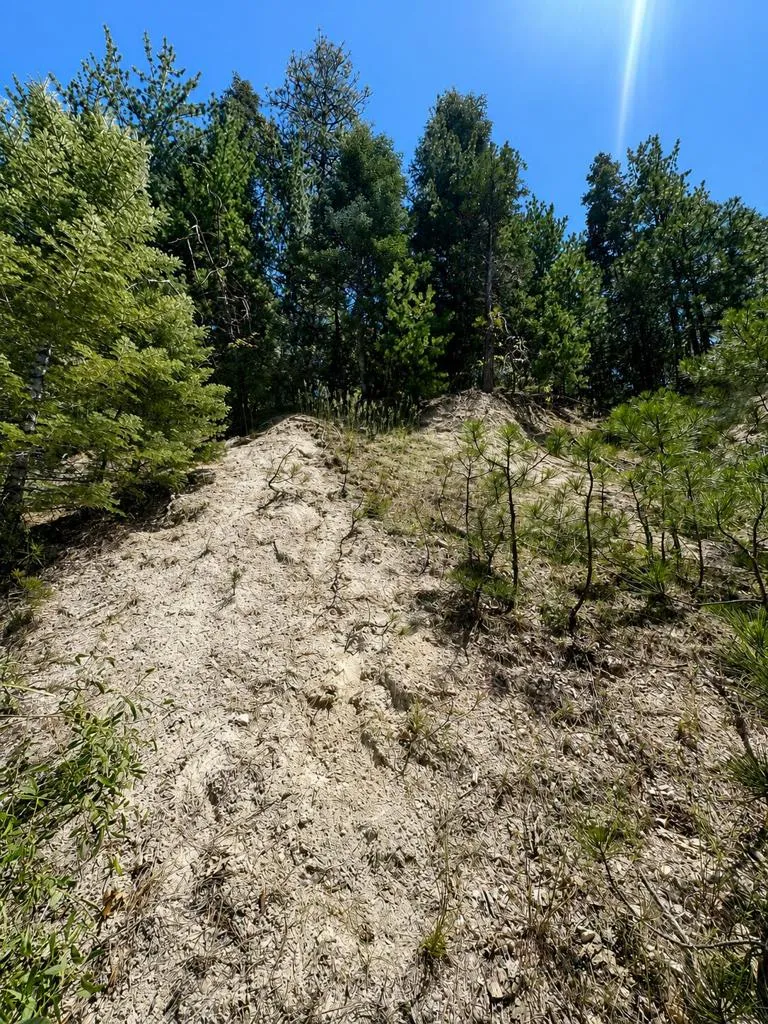 Grass Valley Road Lake Arrowhead, CA 92352