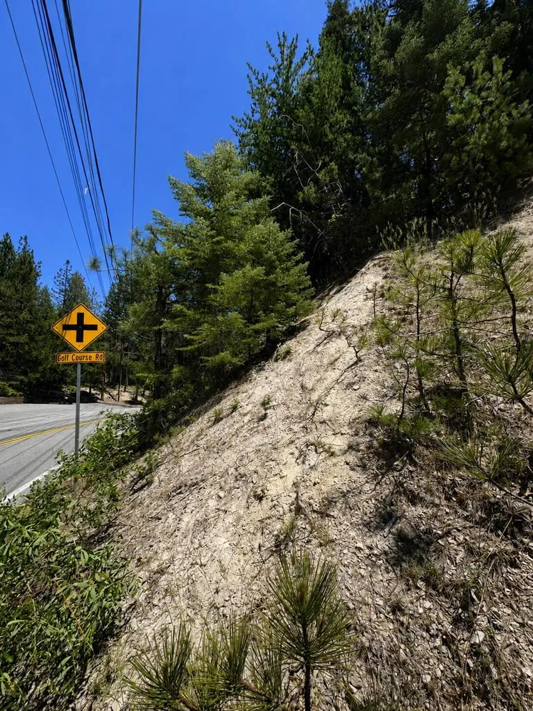 Grass Valley Road Lake Arrowhead, CA 92352