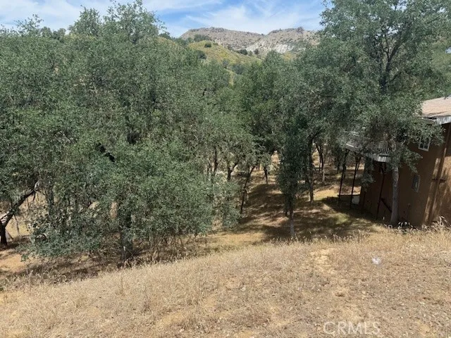 2463 Captains Walk Bradley, CA 93426