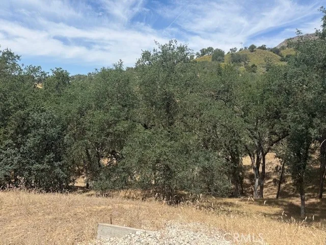 2463 Captains Walk Bradley, CA 93426