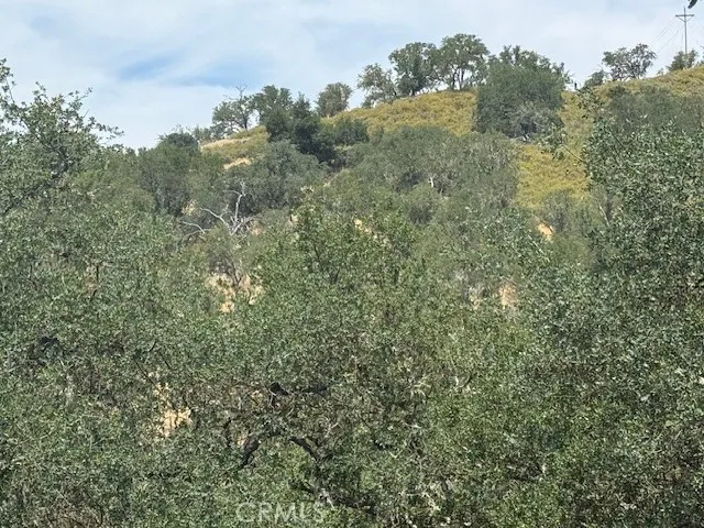 2463 Captains Walk Bradley, CA 93426