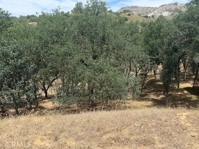 2463 Captains Walk Bradley, CA 93426
