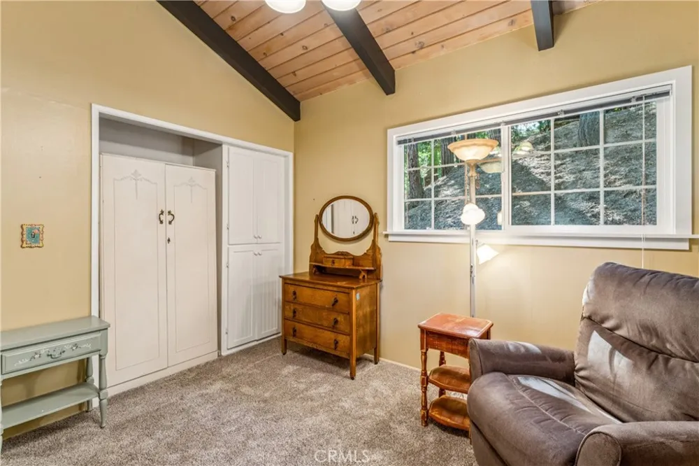 29029 Alder Terrace Cedar Glen, CA 92321