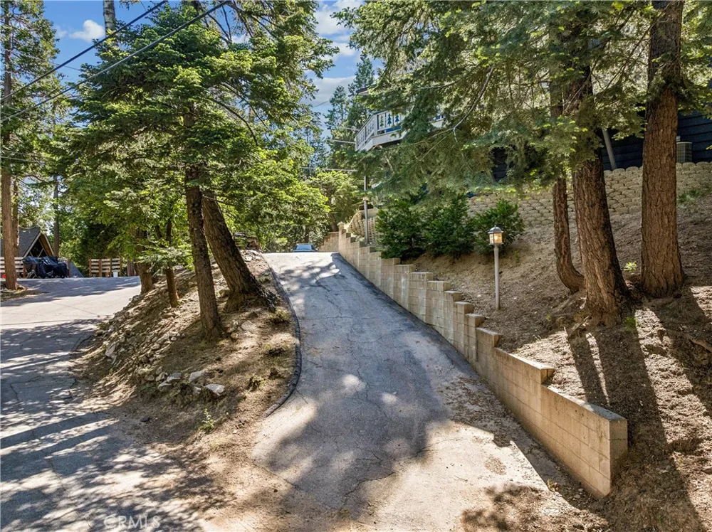 29029 Alder Terrace Cedar Glen, CA 92321