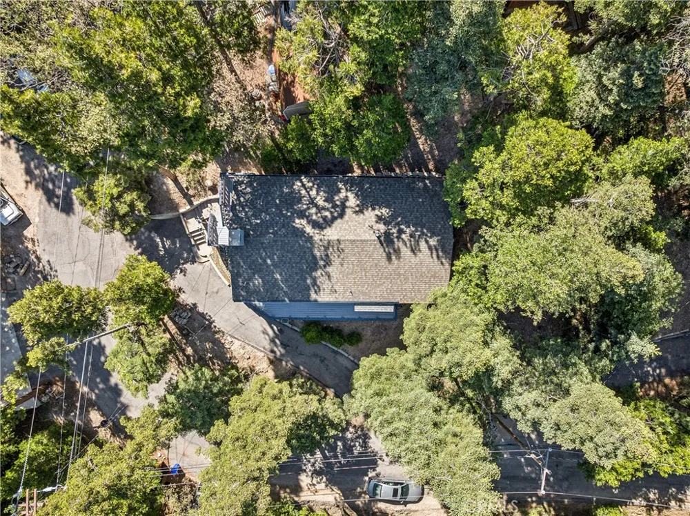 29029 Alder Terrace Cedar Glen, CA 92321