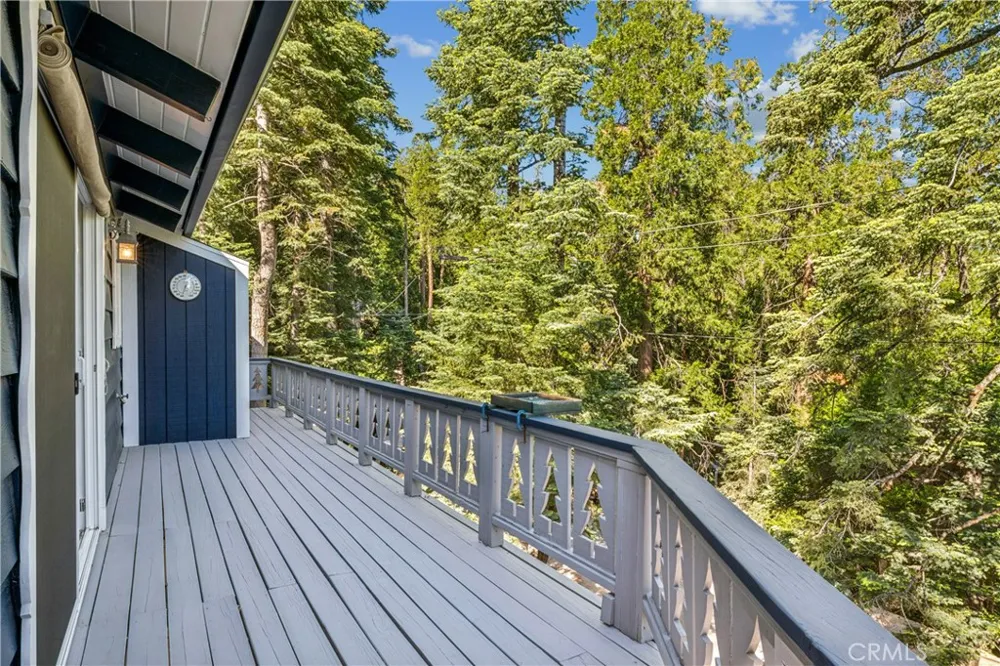 29029 Alder Terrace Cedar Glen, CA 92321