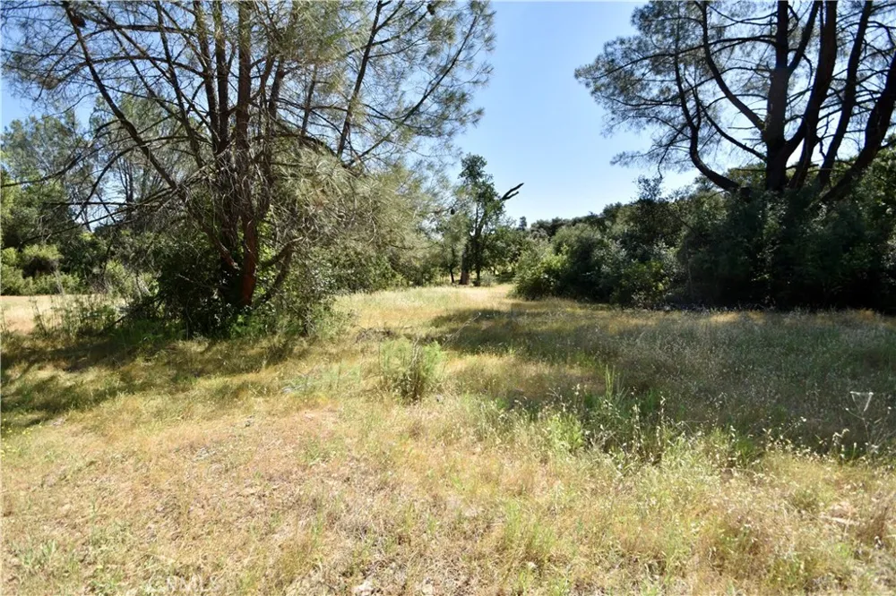 Maple Avenue Oroville, CA 95966