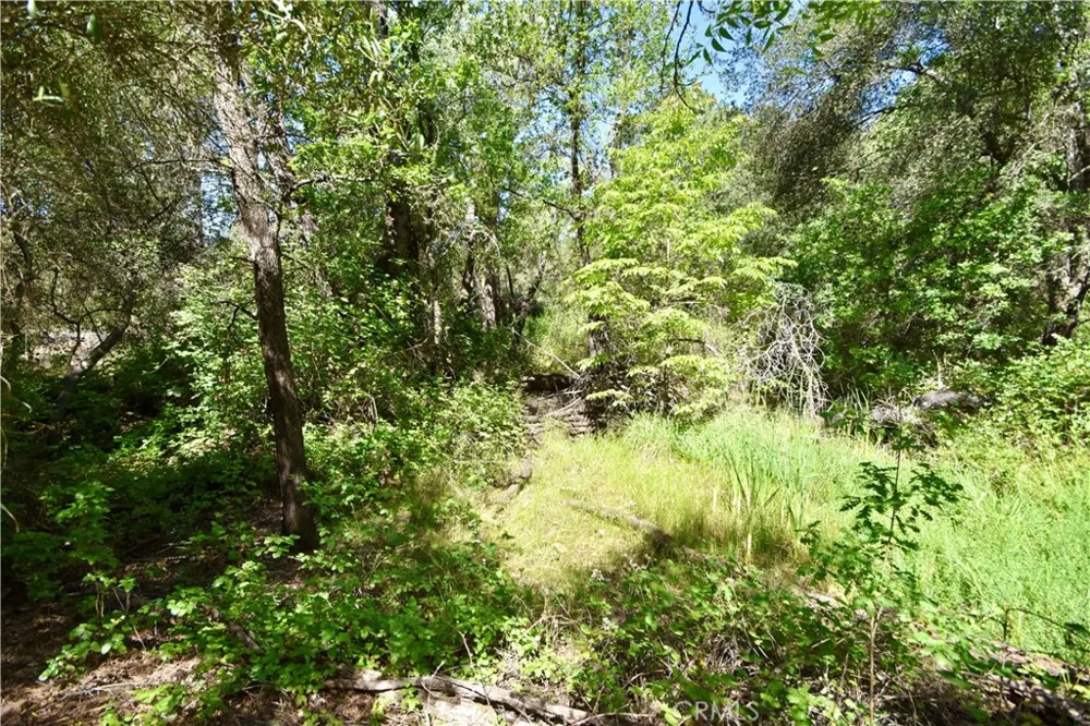 Maple Avenue Oroville, CA 95966
