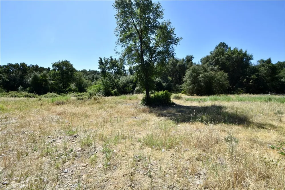 Maple Avenue Oroville, CA 95966