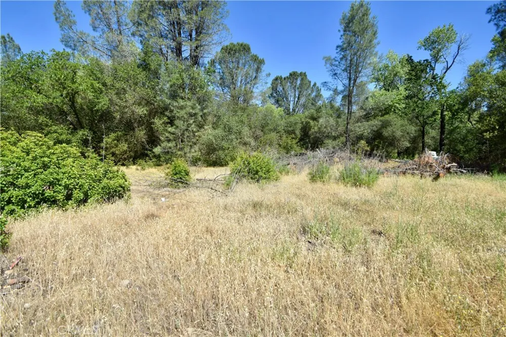 Maple Avenue Oroville, CA 95966