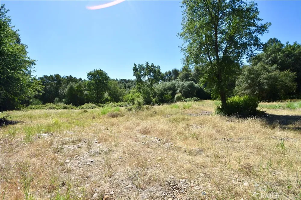 Maple Avenue Oroville, CA 95966