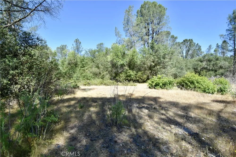 Maple Avenue Oroville, CA 95966