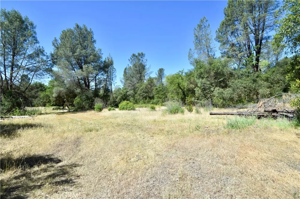 Maple Avenue Oroville, CA 95966